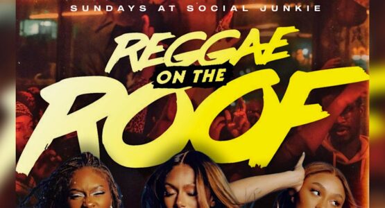 REGGAE ON THE ROOF SUNDAYS @ SOCIAL JUNKIE txt "ROOF" to 8327522196 for VIP